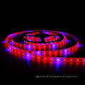 24 volt led grow strip light led strip hydroponic full spectrum led grow light